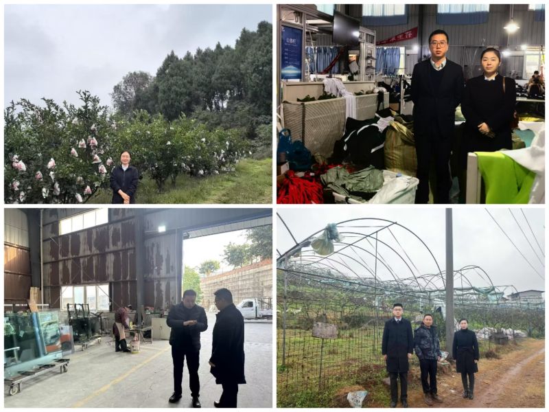 e02d6763f8b18dc0cc67e4868486fd5